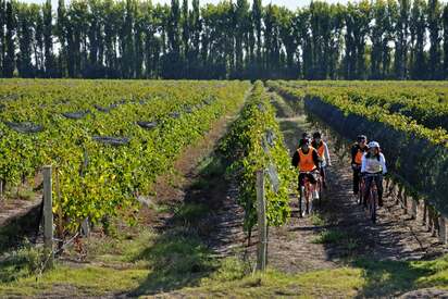 Ruta del vino en bicicleta Mendoza 