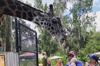 Central Florida Zoo & Botanical Garden Sanford 