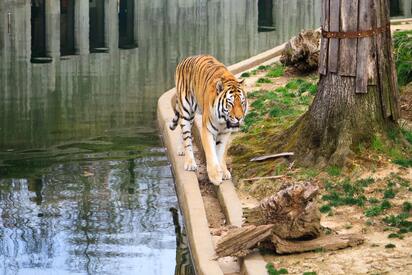 National Zoological Park washington