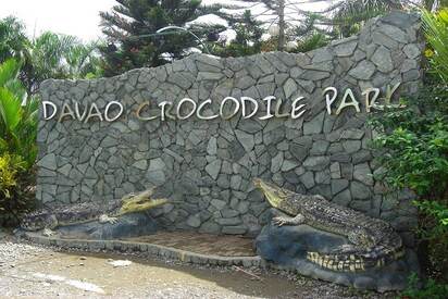 Crocodile Park davao - Lowest Flight Fares Crocodile Park davao