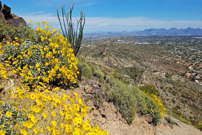 North Mountain Phoenix - Lowest Flight Fares North Mountain Phoenix