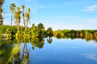 San Joses Estuary and Bird Sanctuary