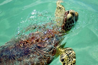 Union Creek Reserve Inagua - Lowest Flight Fares Union Creek Reserve Inagua