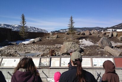 Montana Grizzly Encounter - Bozeman