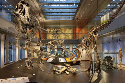 La Brea Tar Pits - Los Angeles